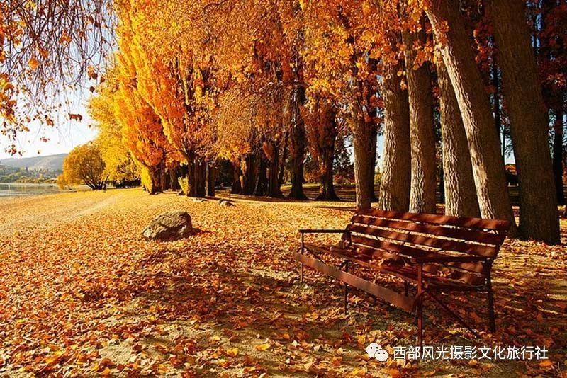 叔叔对侄·子，比同学之间，对同学的儿子好上百万倍，这话大家信不信？游戏画面